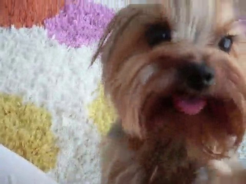 Kitty&Cheri benim minik güzel suratlarım ;)