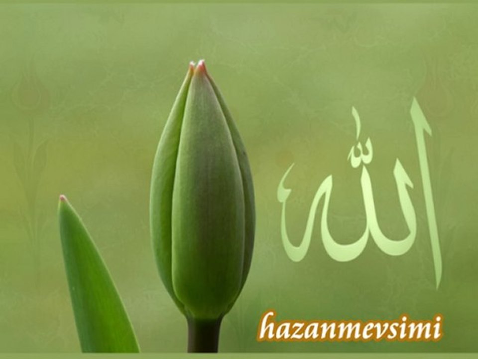 Sen Sultansın ben kulunum - Orhan Çakmak