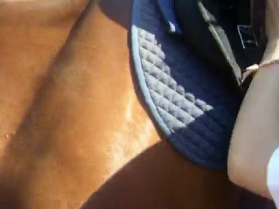 aah la sangle a rondo