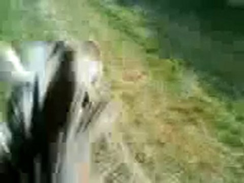 rocco pas, trot et galop + manon eclypse et moi