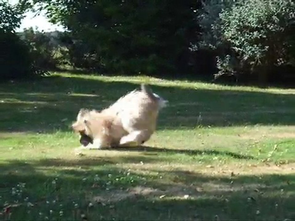 Edy et Dingle 26 juin 2010