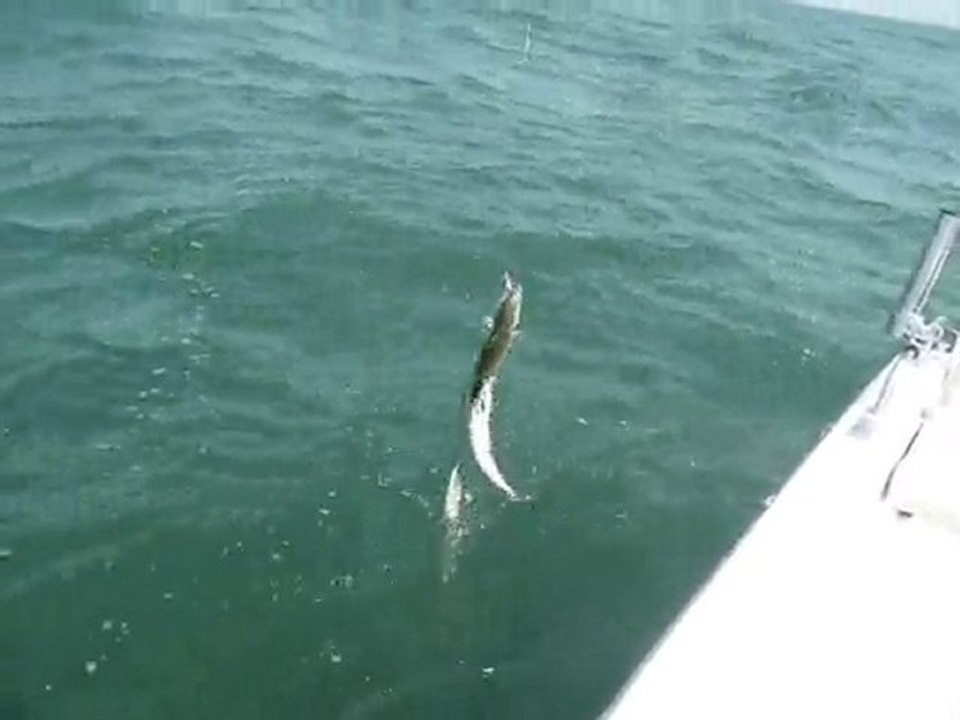 cap sur l islande ...mort aux flétans!!!!
