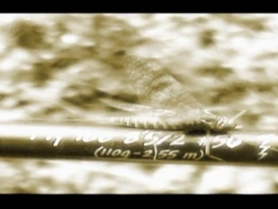 Passionat'a The Fly Fishing Adventure in EusKadi #Teaser#