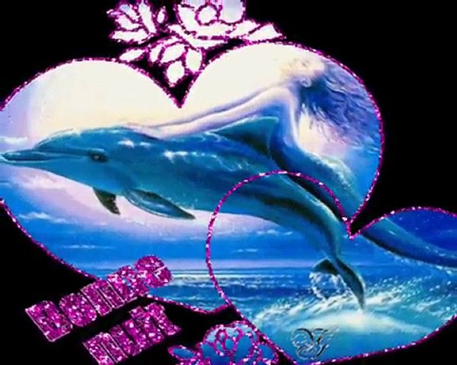 imaginemusic the zoenalia