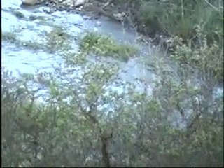 Ne güzel olur o zaman