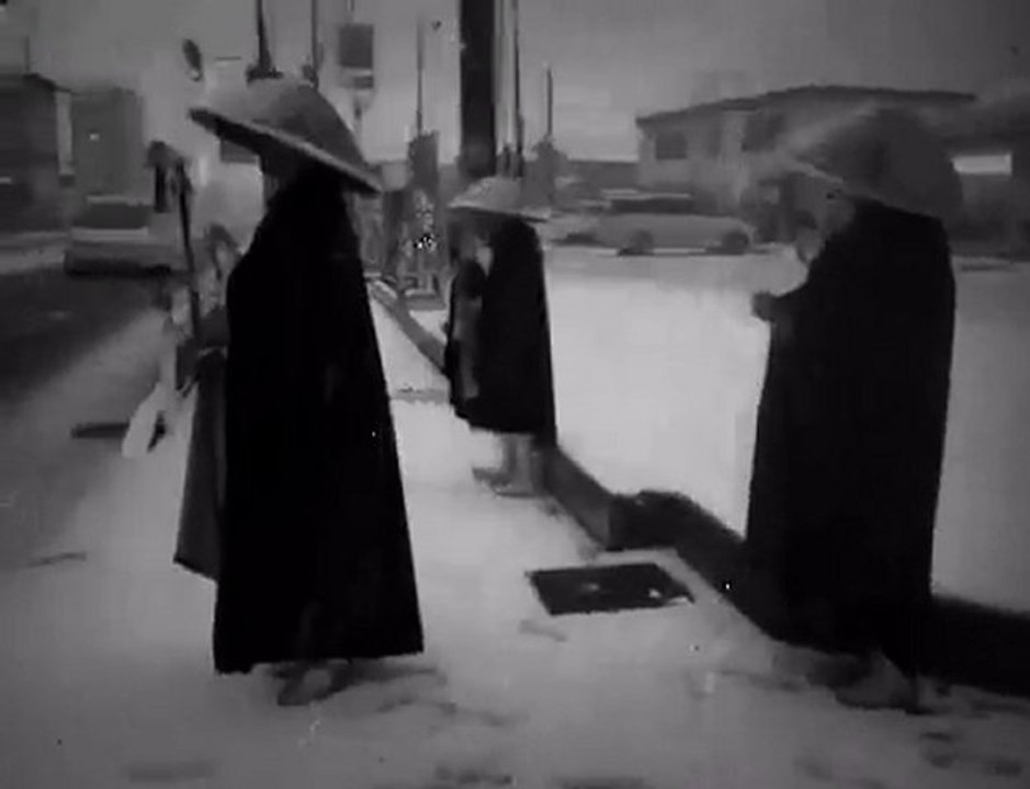 Pitchy, tarry, starless eyes .. three crows ..