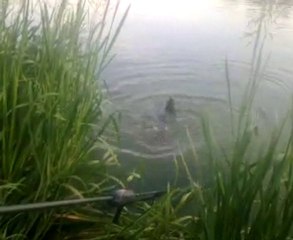 petite vidéo de ma session 1 26/06/2010