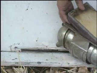 Balın Önemi Özellikleri ve Hasadı