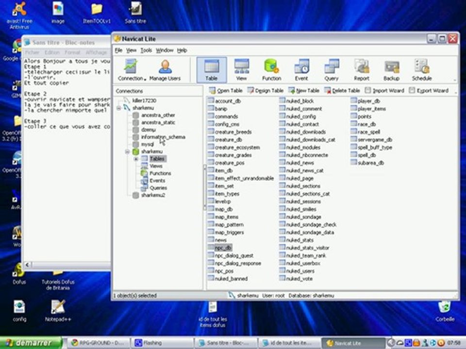 [tuto]Un pnj vendeur de tout