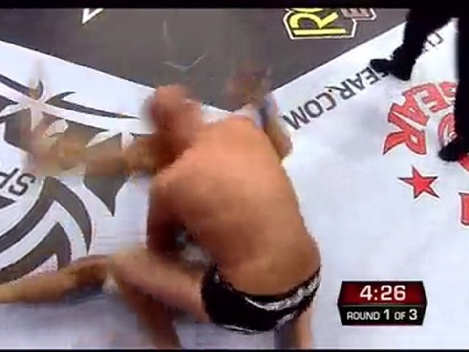 Fedor vs Werdum