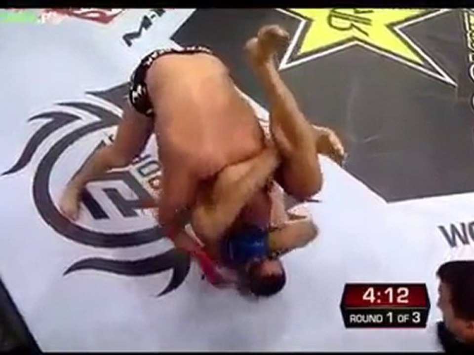 Fedor Emelianenko vs fabricio werdum