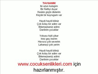 Tavşan Haydi Biliniz-Çocuk Şarkısı