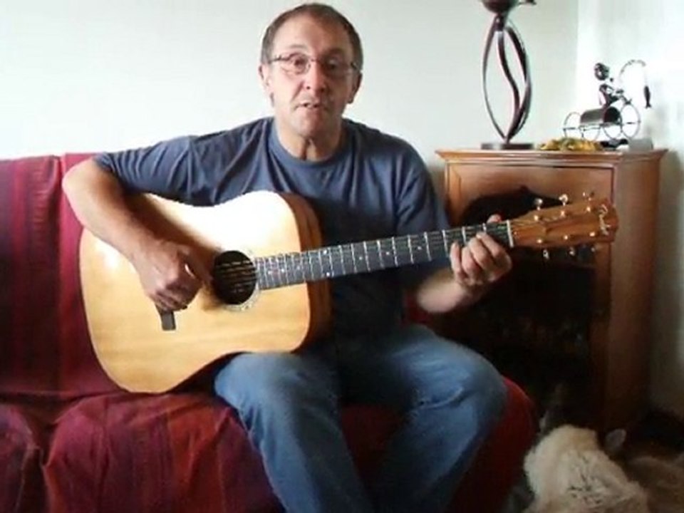 Maxime Le Forestier La visite