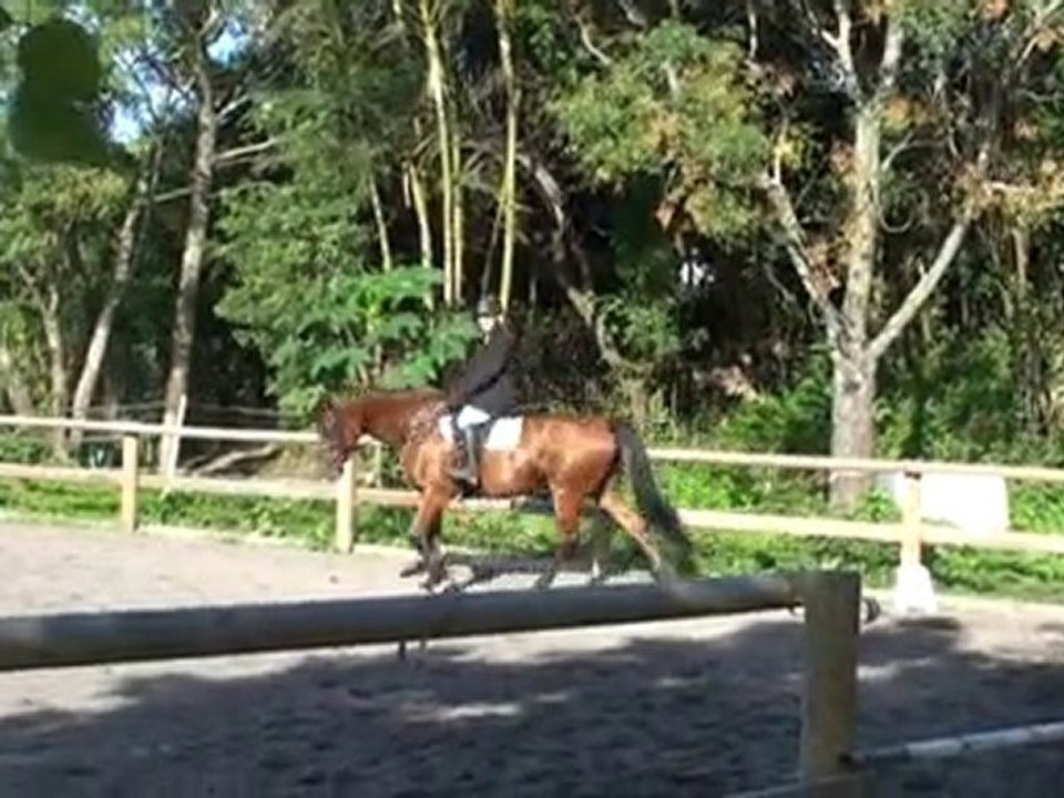 09.05.10-dressage au CHE - amateur 3 imposés C  avec Isatis