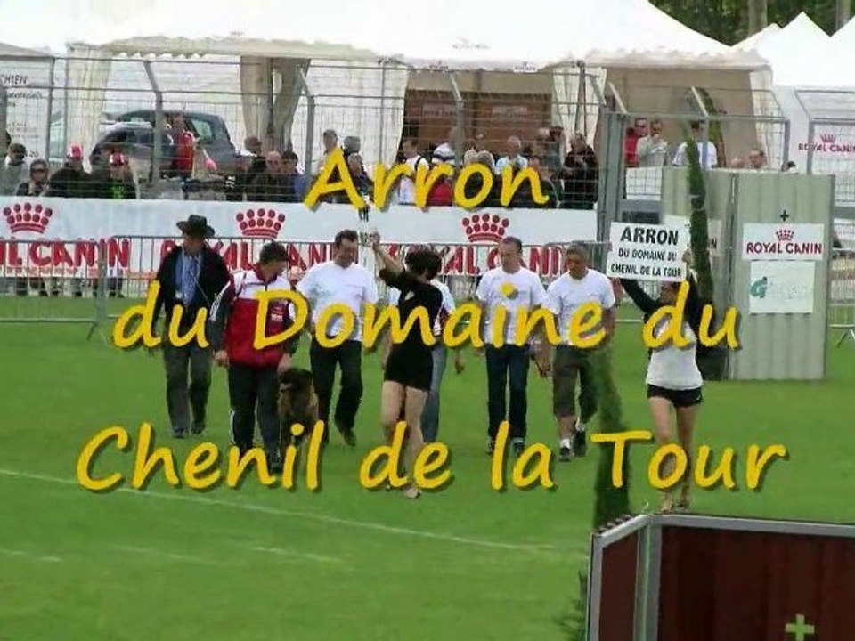 Arron du Domaine du Chenil de la Tour, Finale Ring 2010