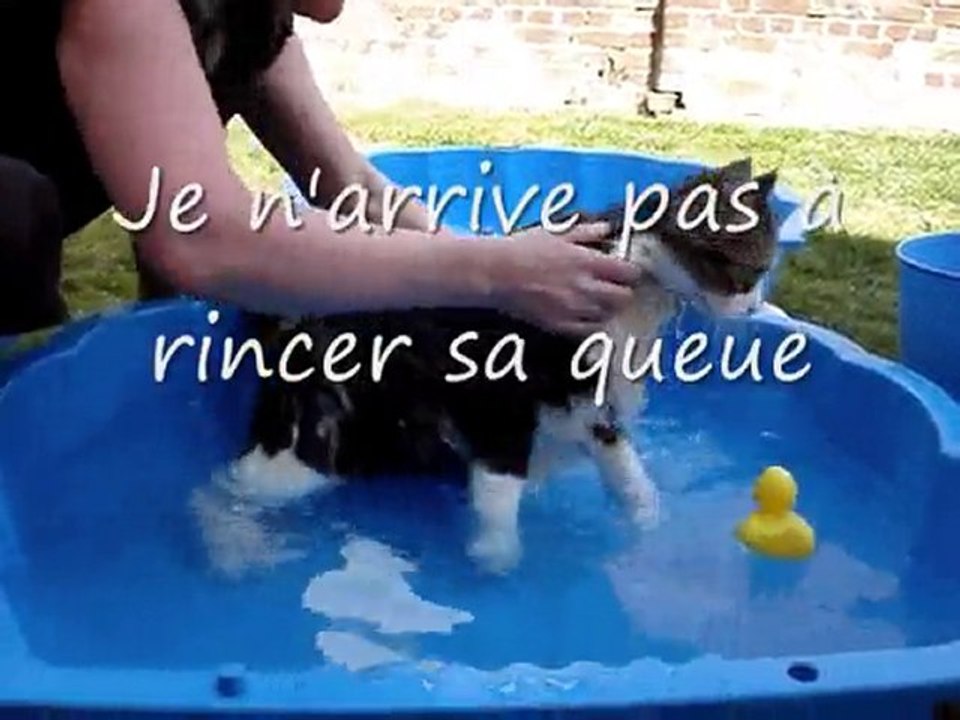 bain d'été