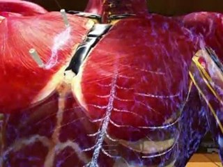 Science du combat - Auto défense - Part 3