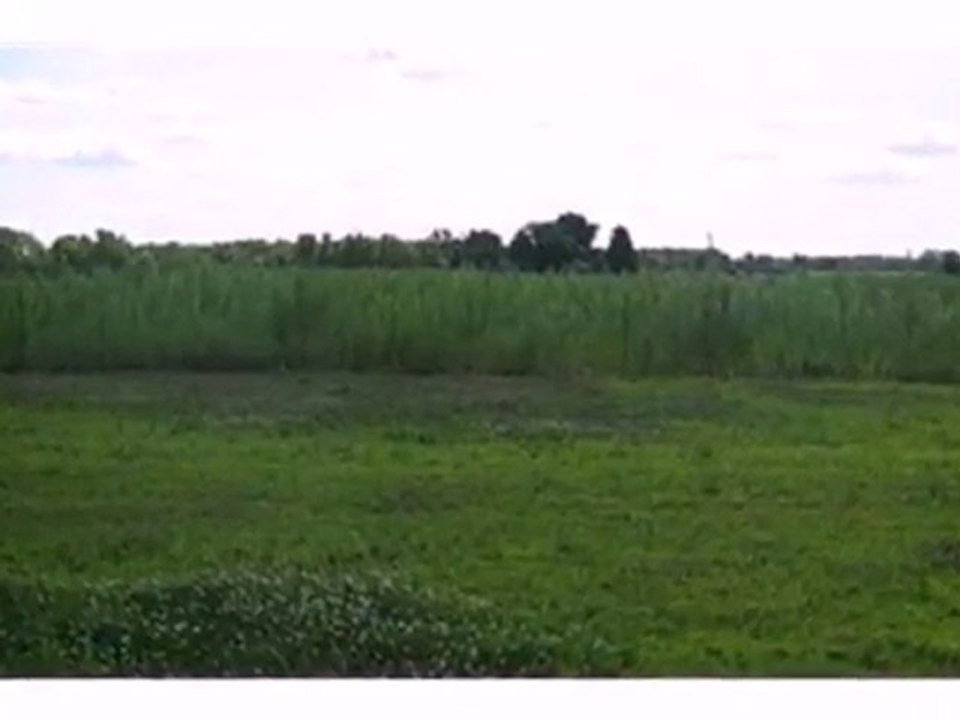 Homes for Sale - 0 W Central Ave - Wheatfield, IN 46392 - Co