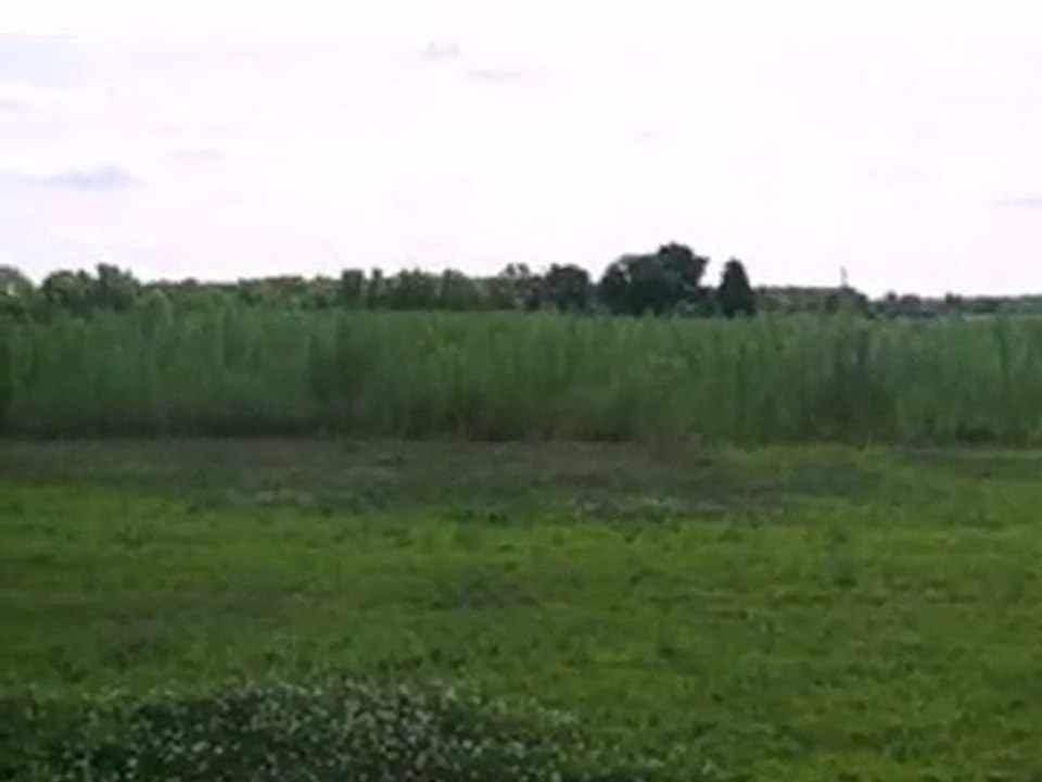 Homes for Sale - 0 Meadow Ln - Wheatfield, IN 46392 - Coldwe