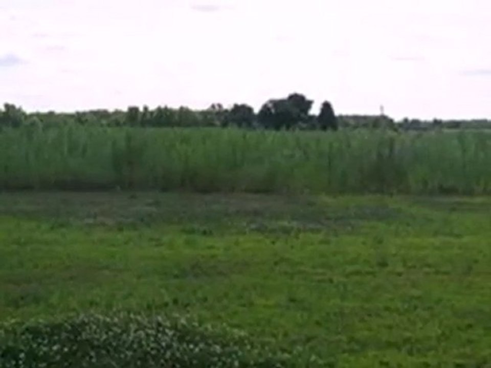 Homes for Sale - 0 Meadow Ln - Wheatfield, IN 46392 - Coldwe