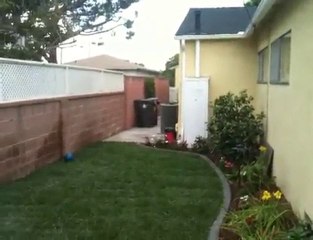 Landscape Contractor Orange County