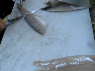 SUDAK FILETOLANMASI-KUHAN FILEROINTI