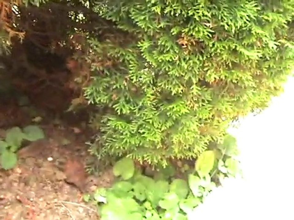 Clefs, porte-clefs, ... mais? ... Elle ment!