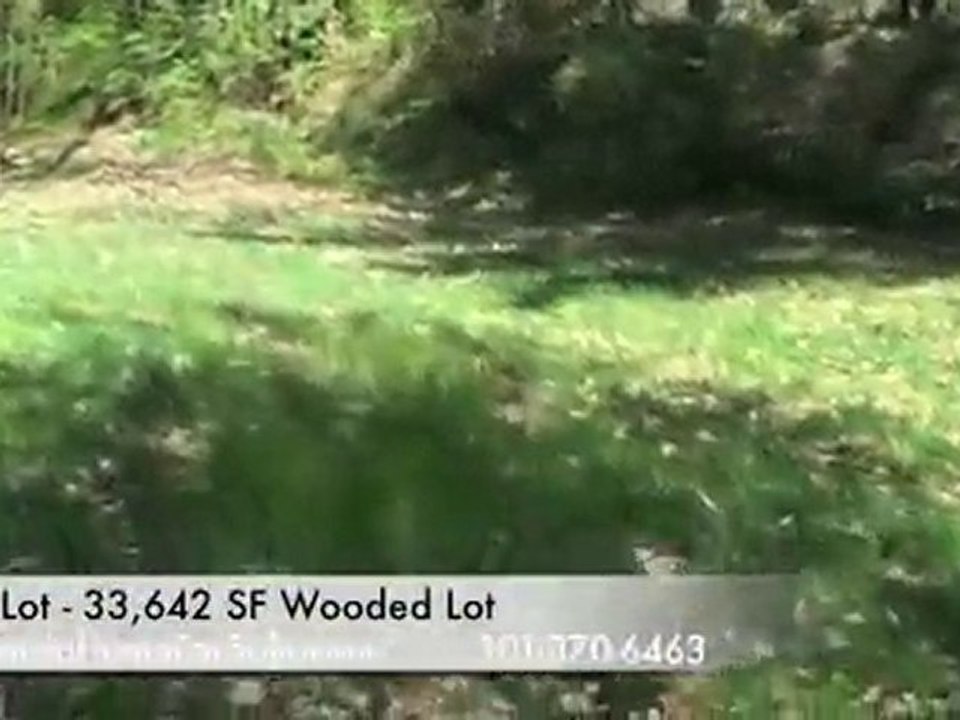 Glen Echo Md new home on 33,000 sf wooded lot for sale