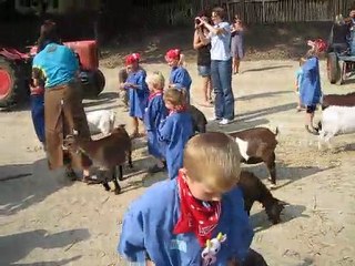 zélie donne à manger aux animaux