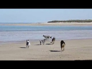 Normandie sans son
