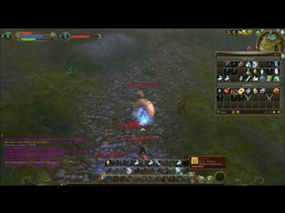 Aion PVP Assassin 31