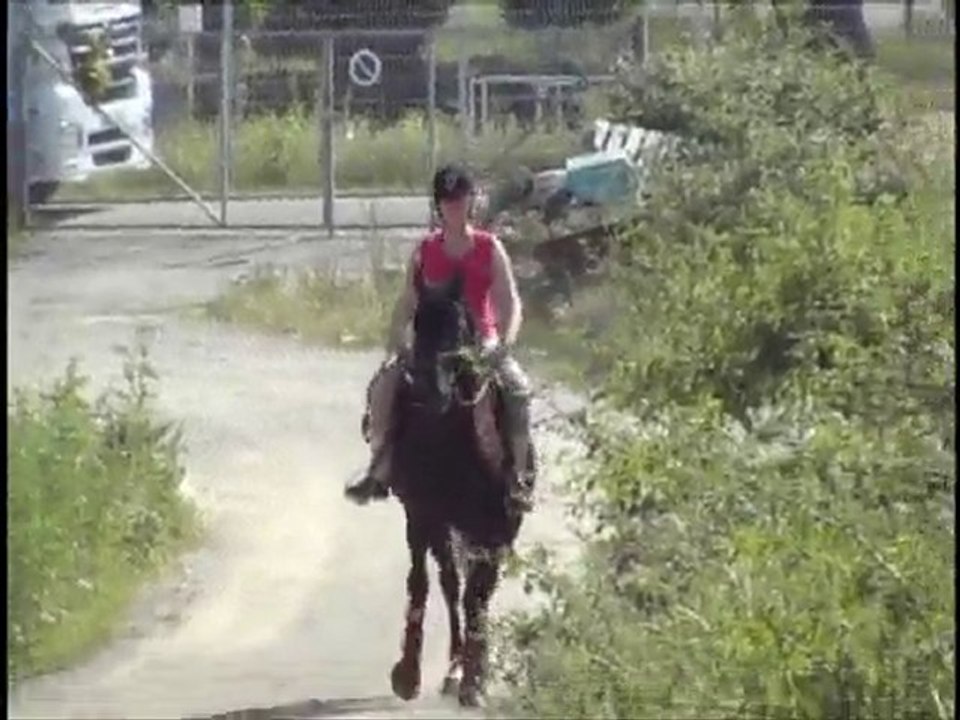 Olten trot 27 juin