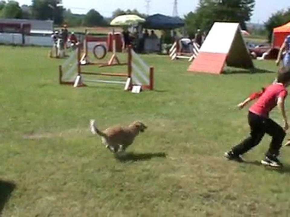 Moulins 2010 Ben 1er degré