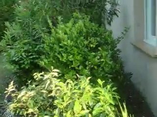 Soiré chez Stéfou 26/06/2010