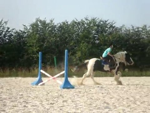 Piebald et Baptiste petits sauts