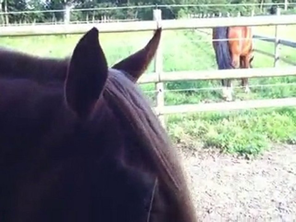 Amghar et Pyram, LA vidéo qui ne sert à rien.....