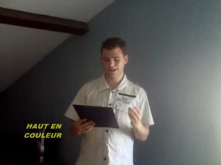 HAUT EN COULEUR - Dimanche 27 juin 2010