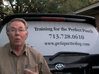 Dog Training School - Personalized training