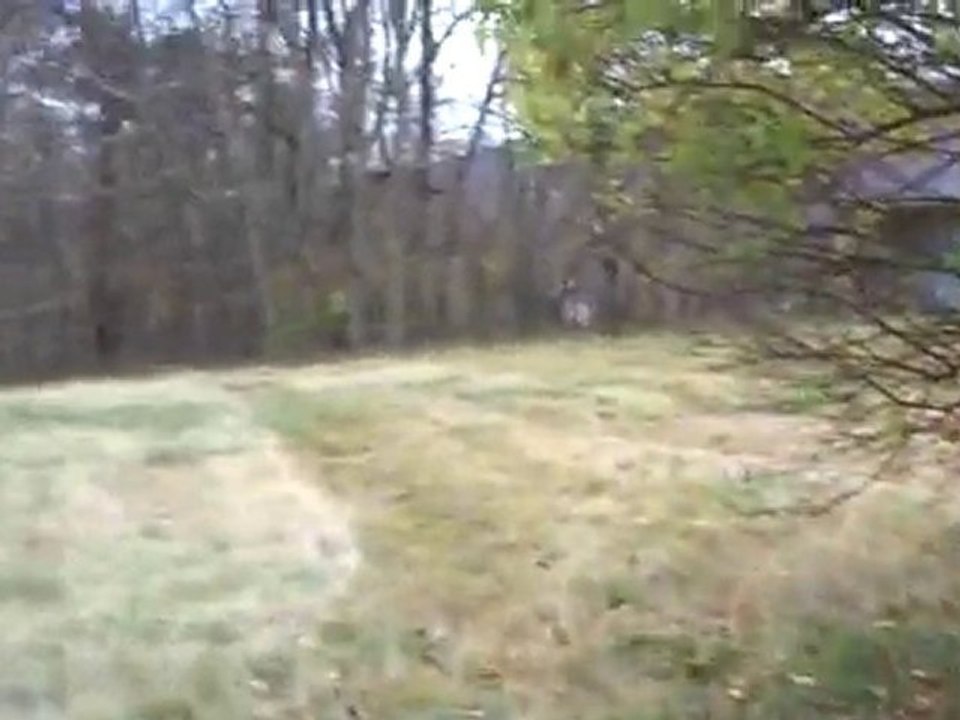 Honest Business Opportunities Secret