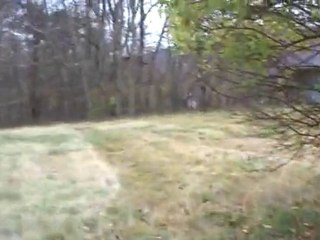 Honest Business Opportunities Secret