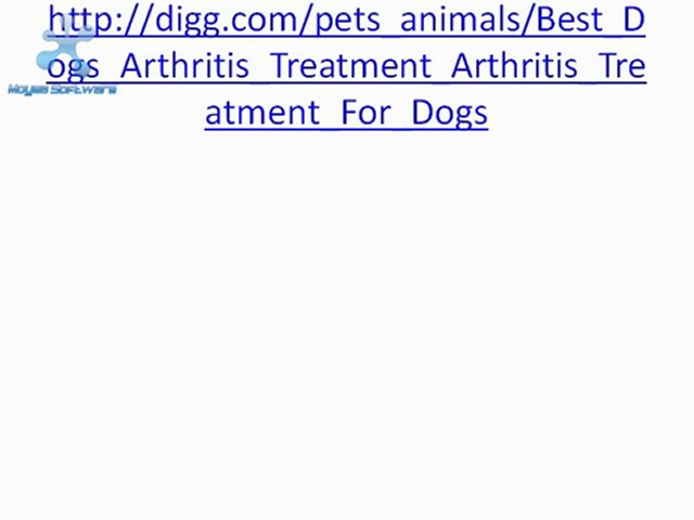 Which Is the best arthritis treatment for dogs