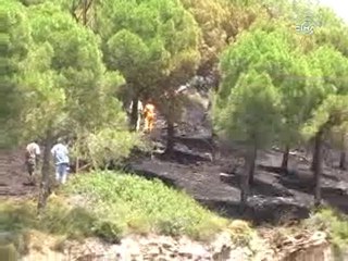 duyarlı vatandaşların ihbarı meryemanayı kurtardı