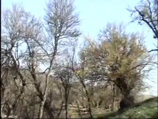 Gel ey canımın cananı