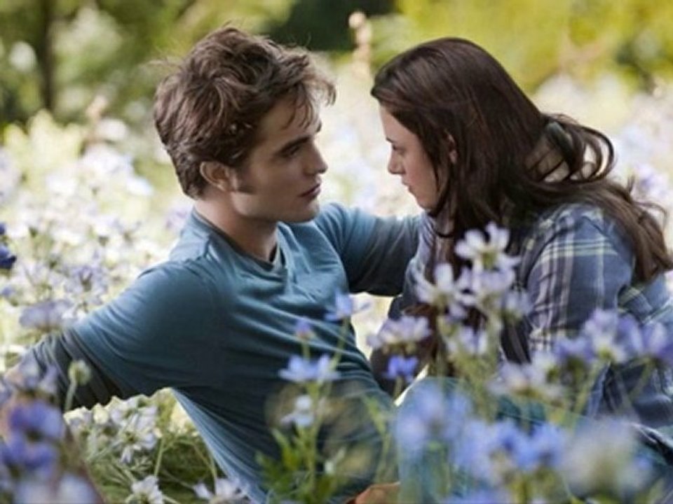 Jonathan Low, Vampire Weekend (twilight 3)