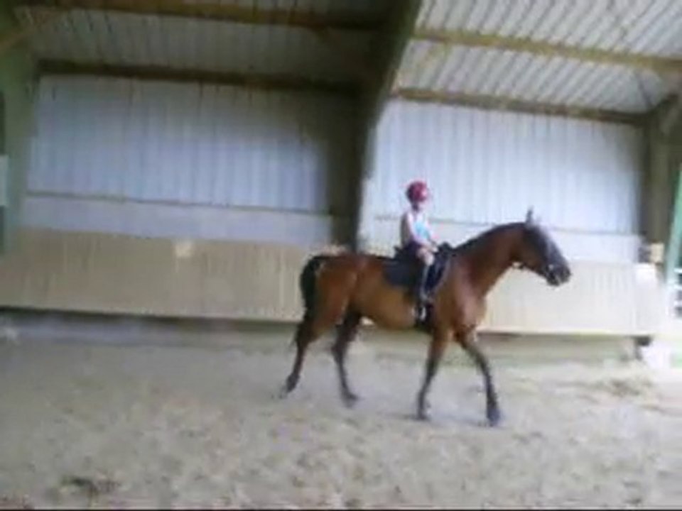 Perlani et Coco