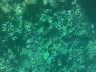 blue hole oyster island inside