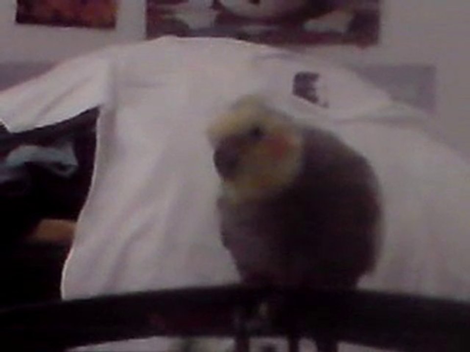 Coco 250610 Calopsite 2