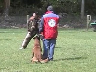 ARF Trial @ PennsWoods May 8-9 2010