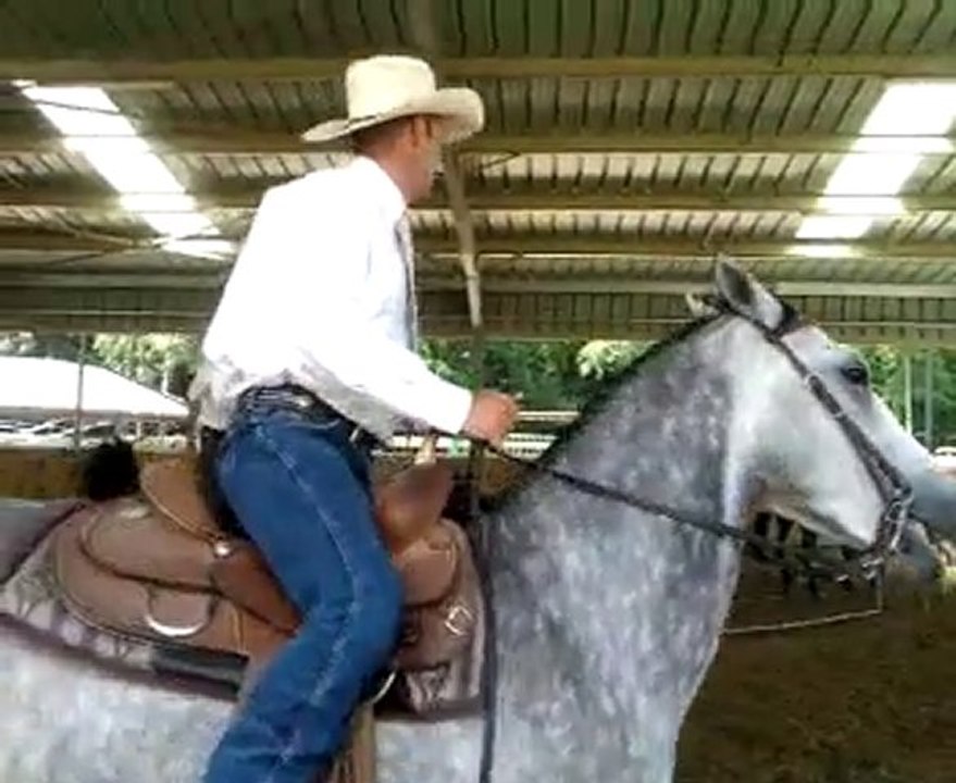 Team Penning Les pro