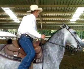 Team Penning Les pro